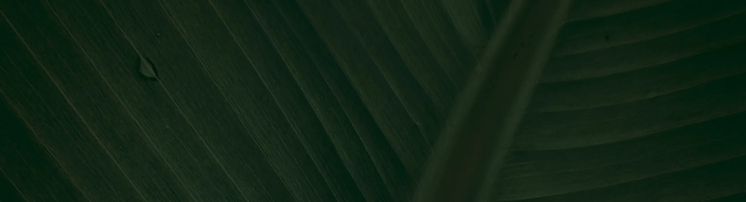 Hoovera Glutathione Effervescent Tablets – Advanced Skin Brightening & Detox Formula (Strawberry Flavour, 15 Tablets)